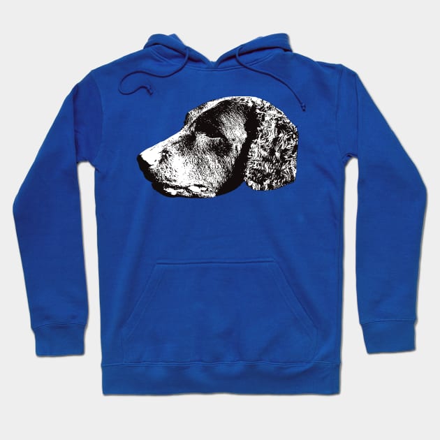 Curly Coated Retriever - Retriever Christmas Gifts Hoodie by DoggyStyles
